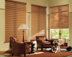 Alustra Vignette Modern Roman Shades PowerRise 2-1 with Platinum Technology-min 