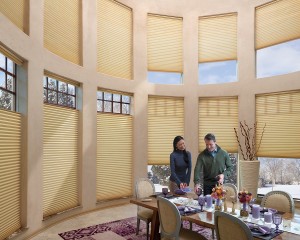 Duette Architella honeycomb shades PowerRise 2-1 with Platinum Technology 2-min