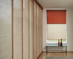 Designer Roller Shades + Skyline Panels with Continuous Cord Loop-min