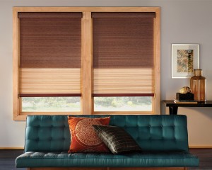 designer roller shades 1