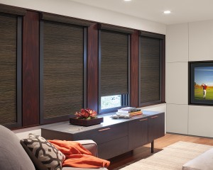 designer roller shades 3